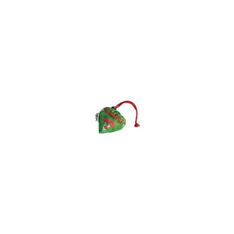 Bolsa Ecologica Plegable 100% Poliester, Diseno Hongos, 38×38 Cm, Color Verde