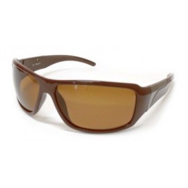 Lentes Polarizados armazon Y Varillas Cafe Con Detalle Metalico, Micas Cafe