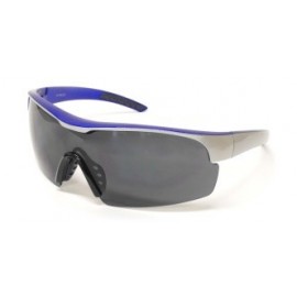 Lentes Deportivo armazon Plata Con Azul, Micas Humo